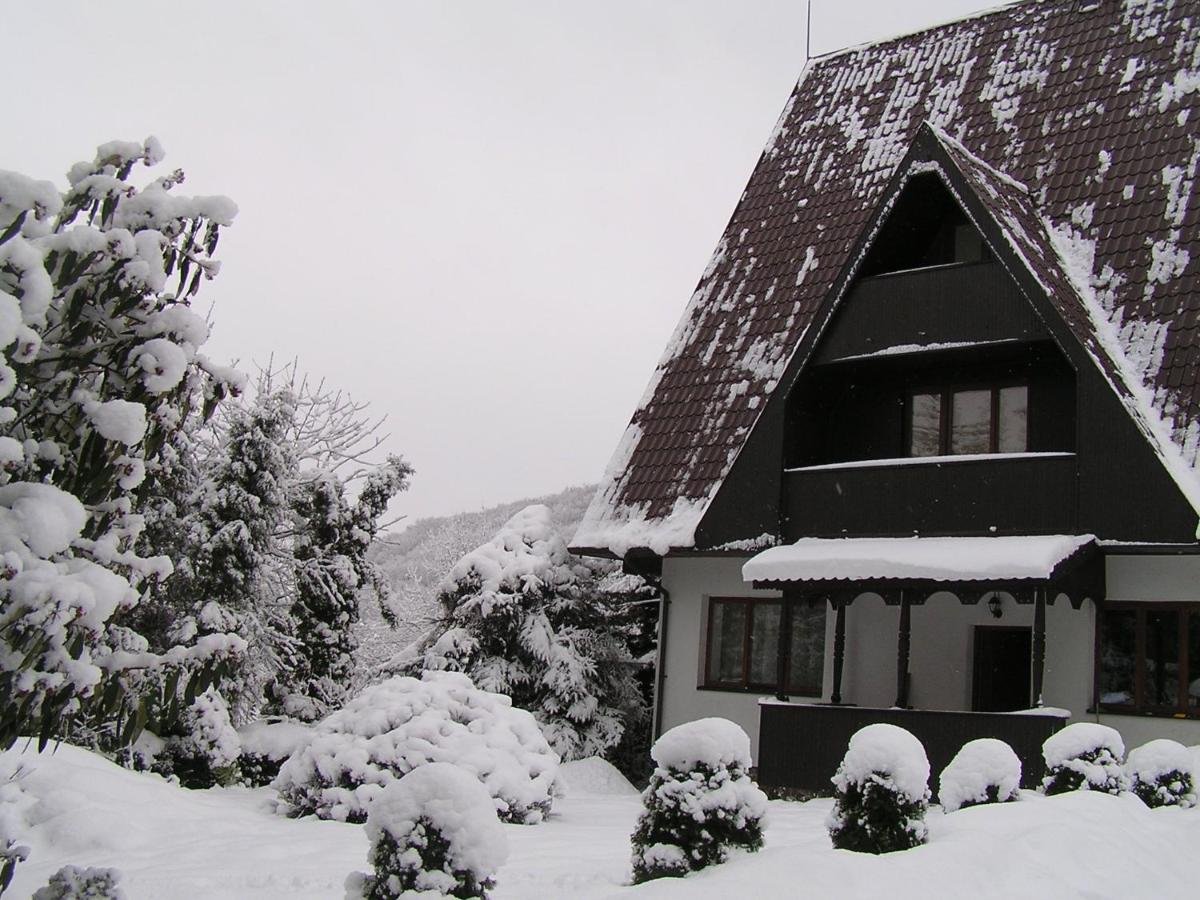 Dubky Hotel Užhorod Esterno foto