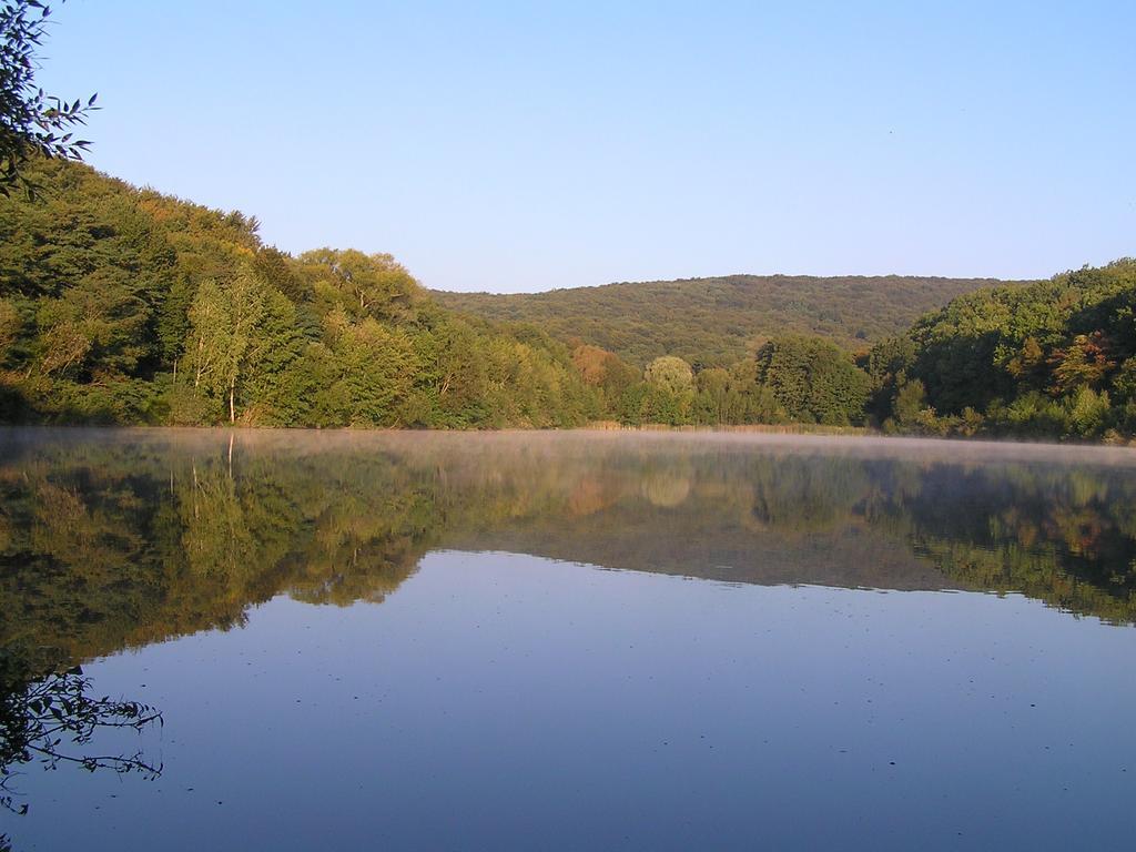 Dubky Hotel Užhorod Esterno foto